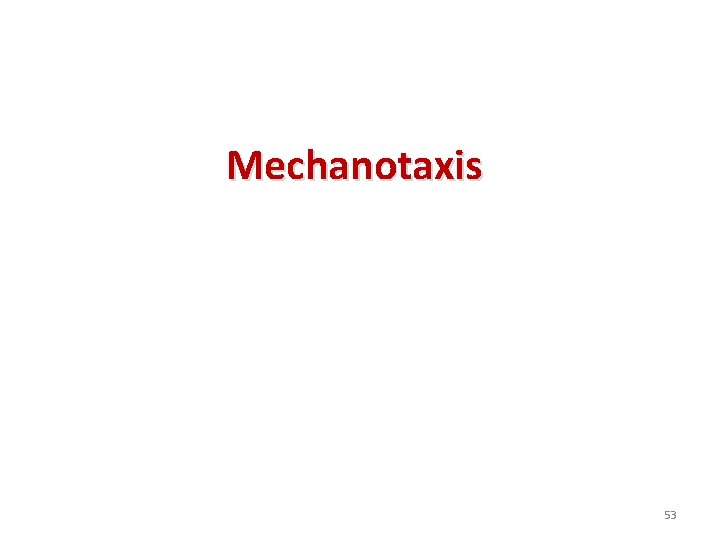 Mechanotaxis 53 