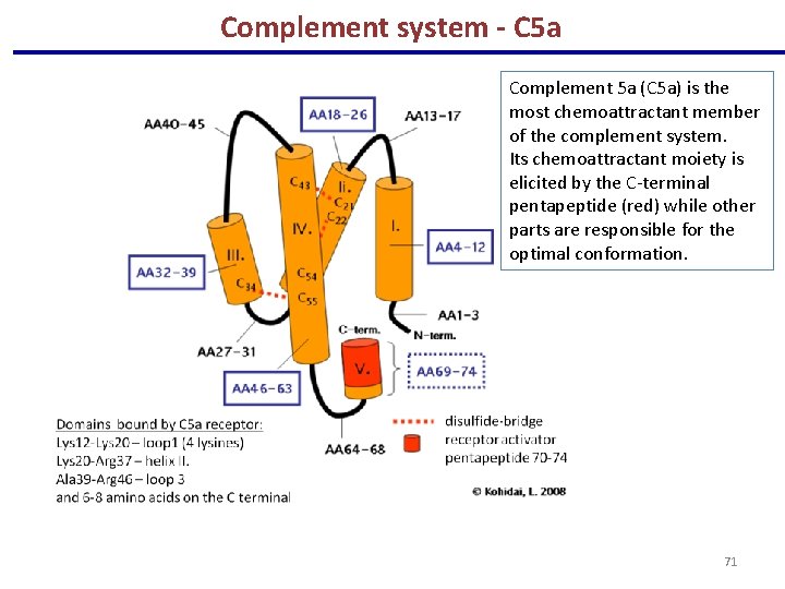 Complement system - C 5 a Complement 5 a (C 5 a) is the