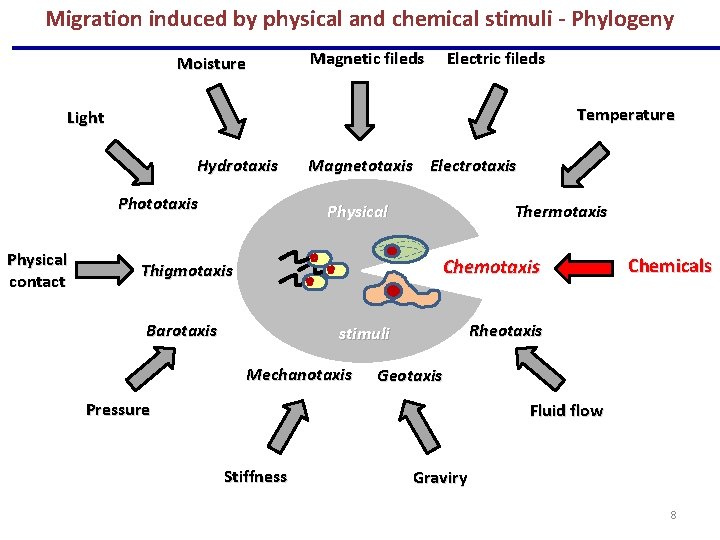 Migration induced by physical and chemical stimuli - Phylogeny Moisture Magnetic fileds Electric fileds