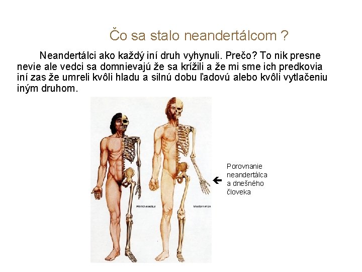 Čo sa stalo neandertálcom ? Neandertálci ako každý iní druh vyhynuli. Prečo? To nik