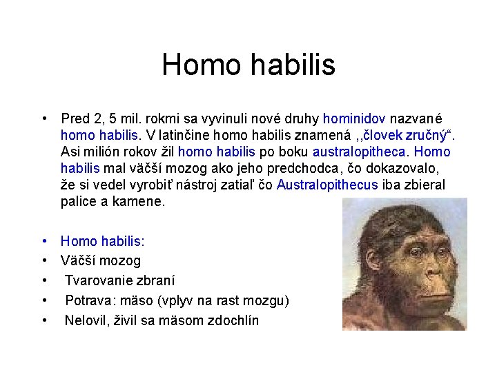 Homo habilis • Pred 2, 5 mil. rokmi sa vyvinuli nové druhy hominidov nazvané