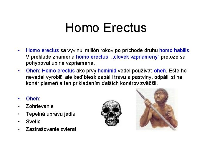 Homo Erectus • • Homo erectus sa vyvinul milión rokov po príchode druhu homo