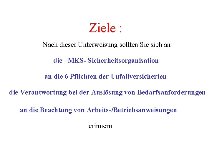 Ziele : Nach dieser Unterweisung sollten Sie sich an die –MKS- Sicherheitsorganisation an die