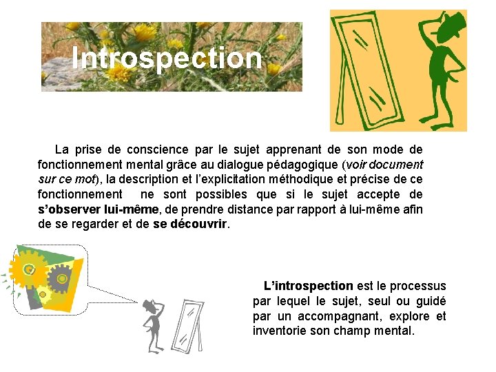 Introspection La prise de conscience par le sujet apprenant de son mode de fonctionnemental