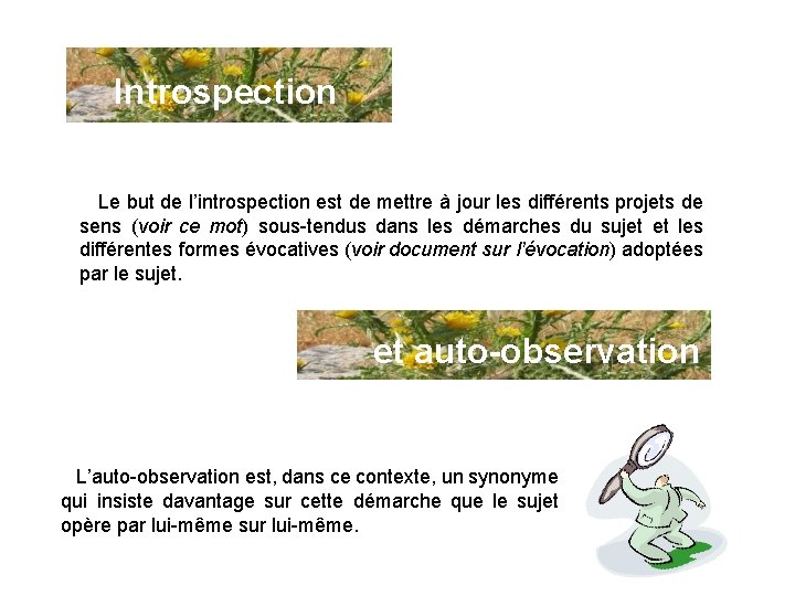 Introspection Le but de l’introspection est de mettre à jour les différents projets de