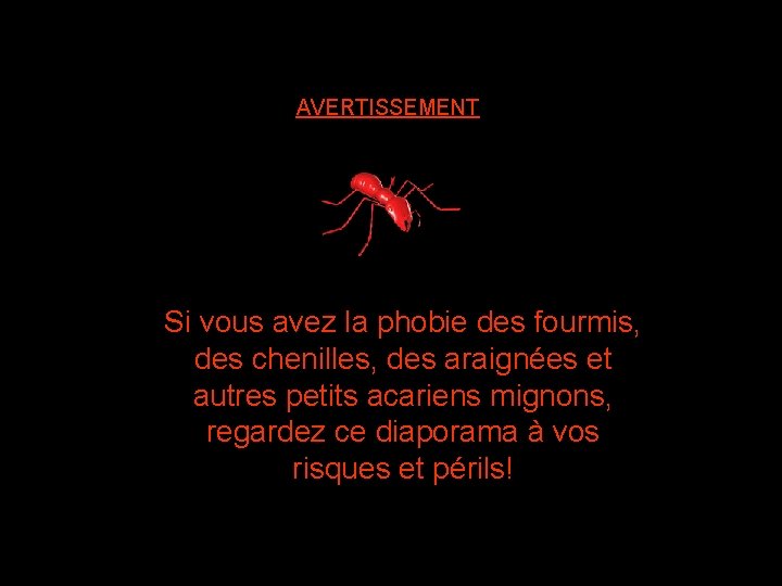 AVERTISSEMENT Si vous avez la phobie des fourmis, des chenilles, des araignées et autres