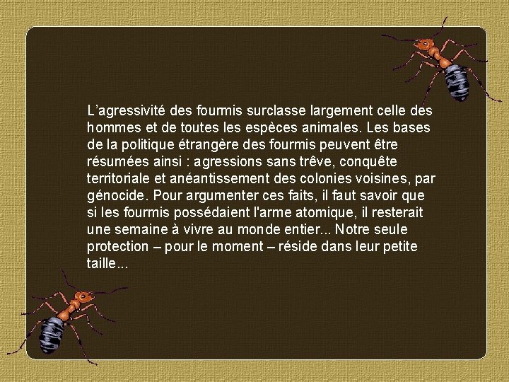 L’agressivité des fourmis surclasse largement celle des hommes et de toutes les espèces animales.