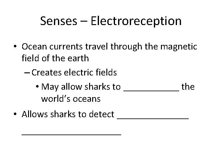 Senses – Electroreception • Ocean currents travel through the magnetic field of the earth