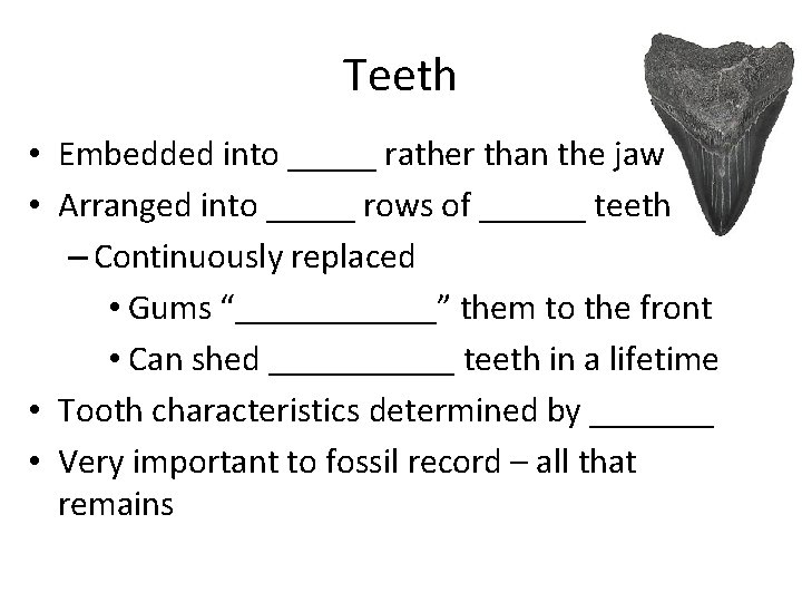 Teeth • Embedded into _____ rather than the jaw • Arranged into _____ rows