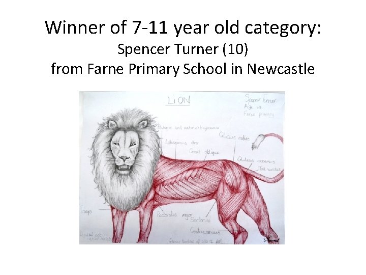 Winner of 7 -11 year old category: Spencer Turner (10) from Farne Primary School