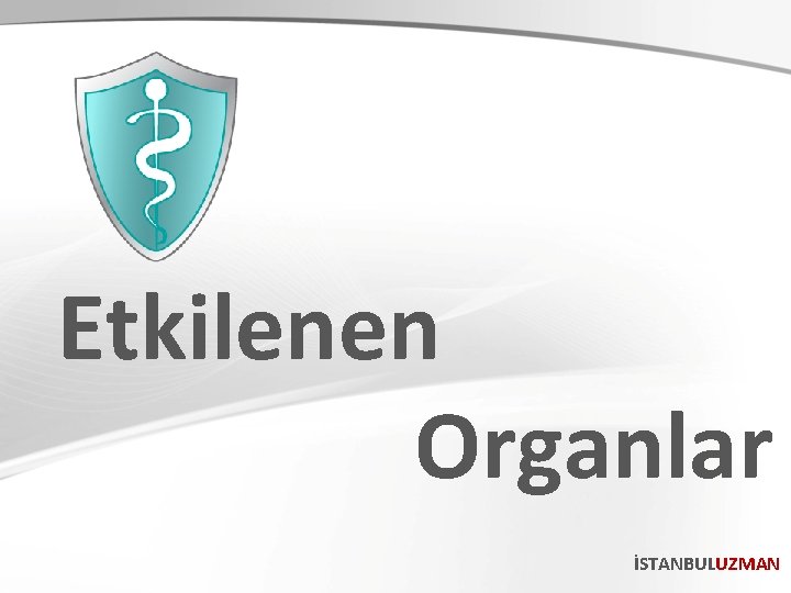 Etkilenen Organlar İSTANBULUZMAN 