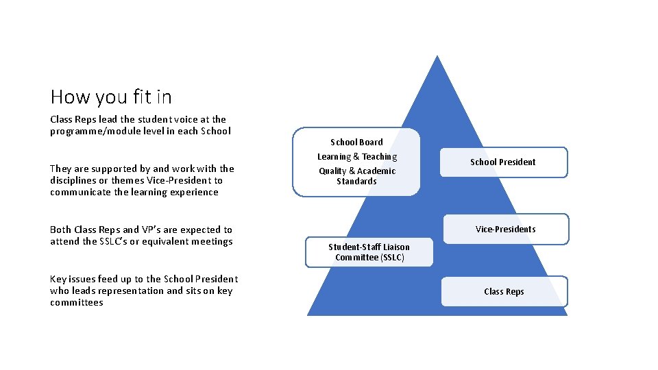 How you fit in Class Reps lead the student voice at the programme/module level