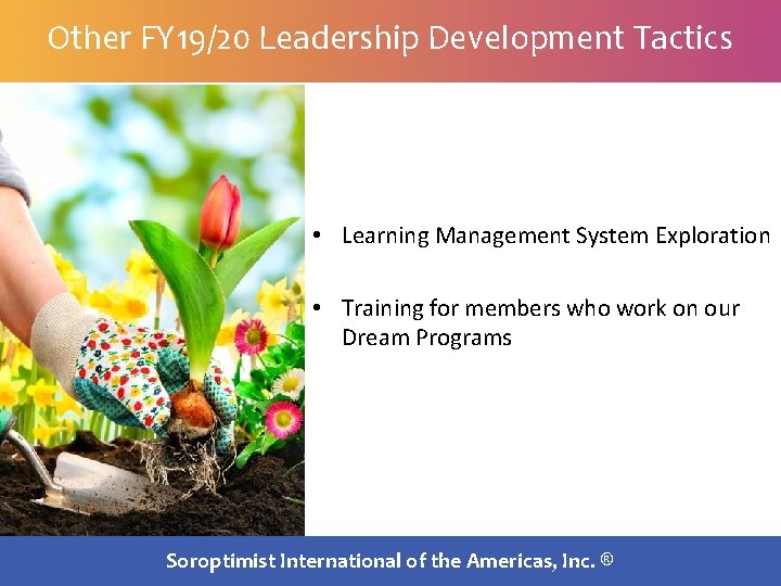 Other FY 19/20 Leadership Development Tactics • Learning Management System Exploration • Training for