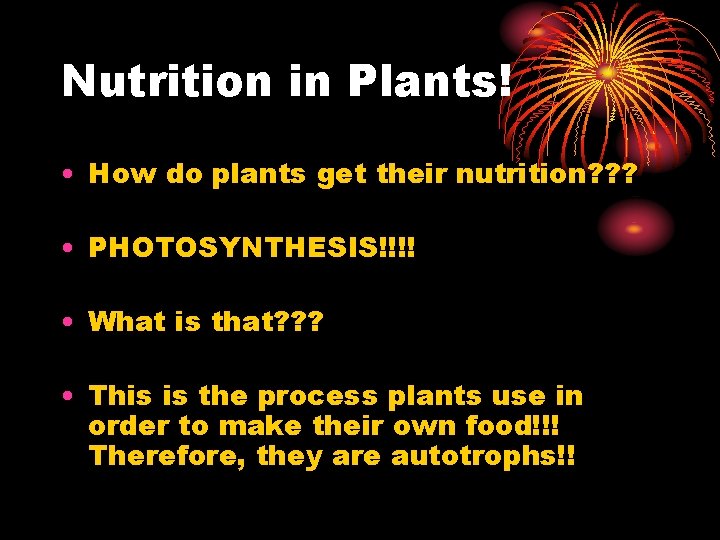Nutrition in Plants! • How do plants get their nutrition? ? ? • PHOTOSYNTHESIS!!!!