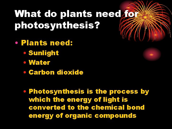 What do plants need for photosynthesis? • Plants need: • Sunlight • Water •