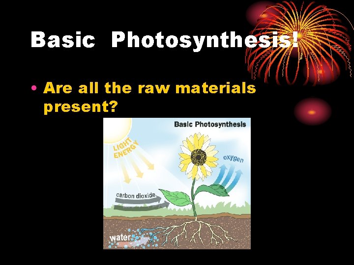 Basic Photosynthesis! • Are all the raw materials present? 