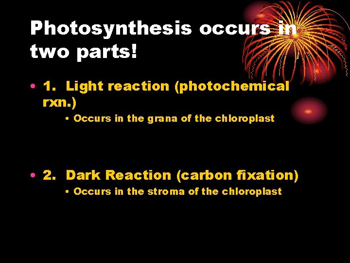 Photosynthesis occurs in two parts! • 1. Light reaction (photochemical rxn. ) • Occurs