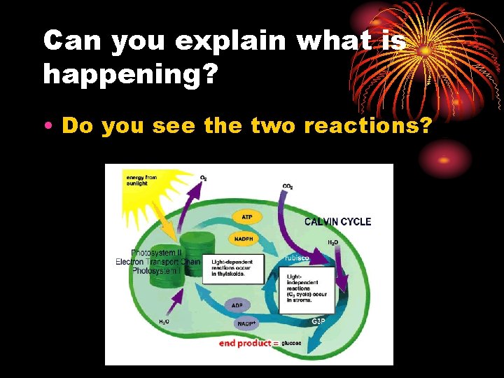 Can you explain what is happening? • Do you see the two reactions? 
