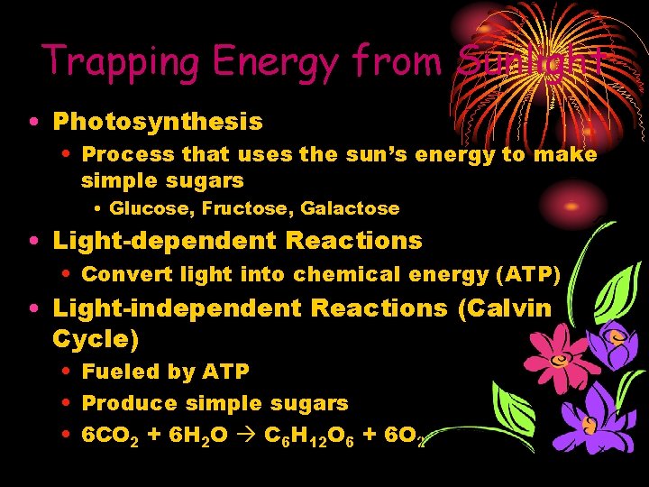Trapping Energy from Sunlight • Photosynthesis • Process that uses the sun’s energy to