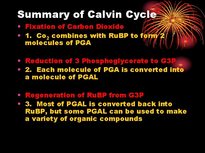 Summary of Calvin Cycle • Fixation of Carbon Dioxide • 1. Co 2 combines