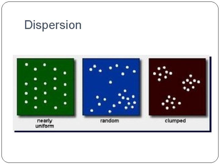 Dispersion 