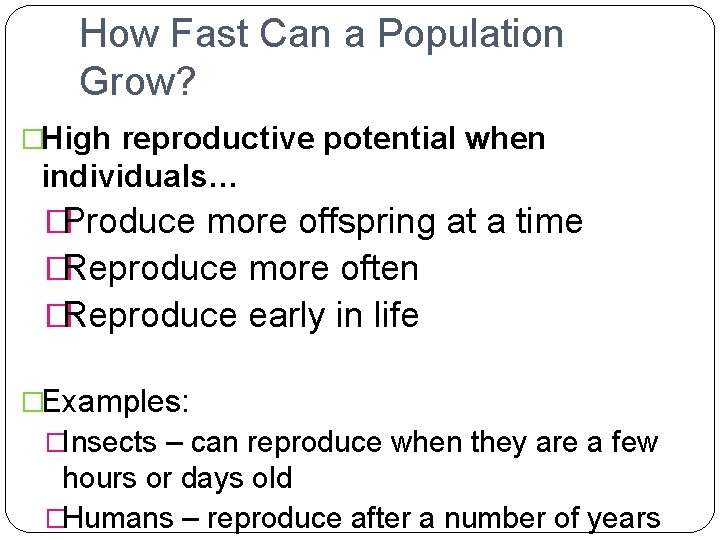 How Fast Can a Population Grow? �High reproductive potential when individuals… �Produce more offspring