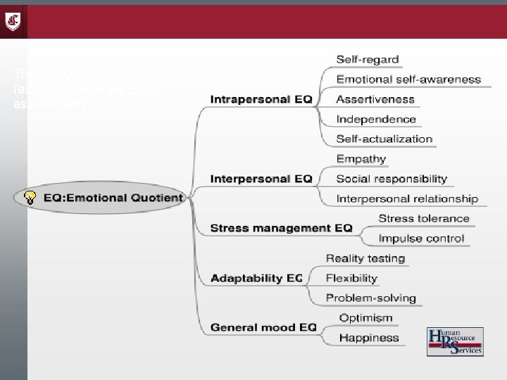 The Bar-On model (associated with the EQ-i assessment) 