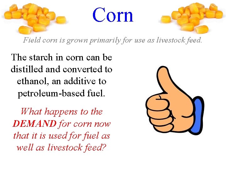 Corn Field corn is grown primarily for use as livestock feed. The starch in