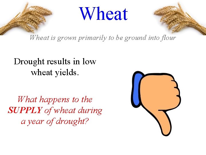 Wheat is grown primarily to be ground into flour Drought results in low wheat