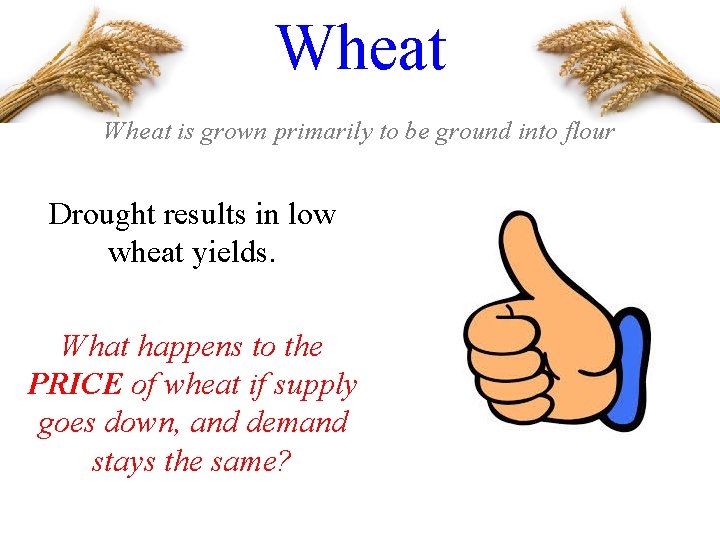 Wheat is grown primarily to be ground into flour Drought results in low wheat