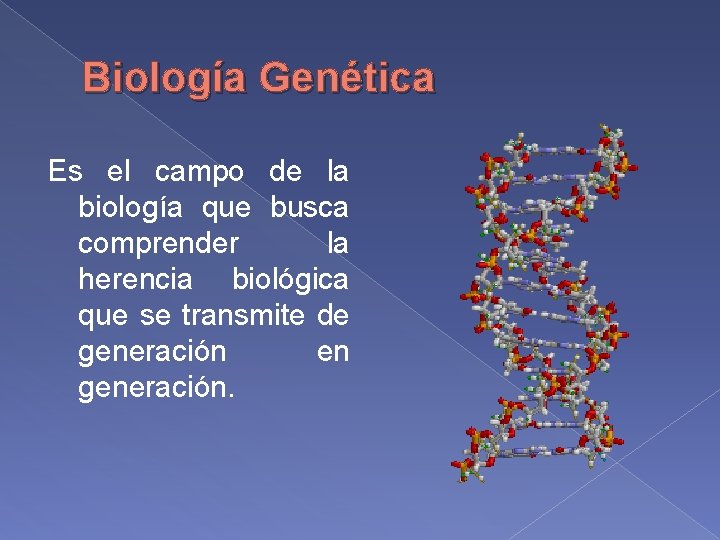 Biología Genética Es el campo de la biología que busca comprender la herencia biológica