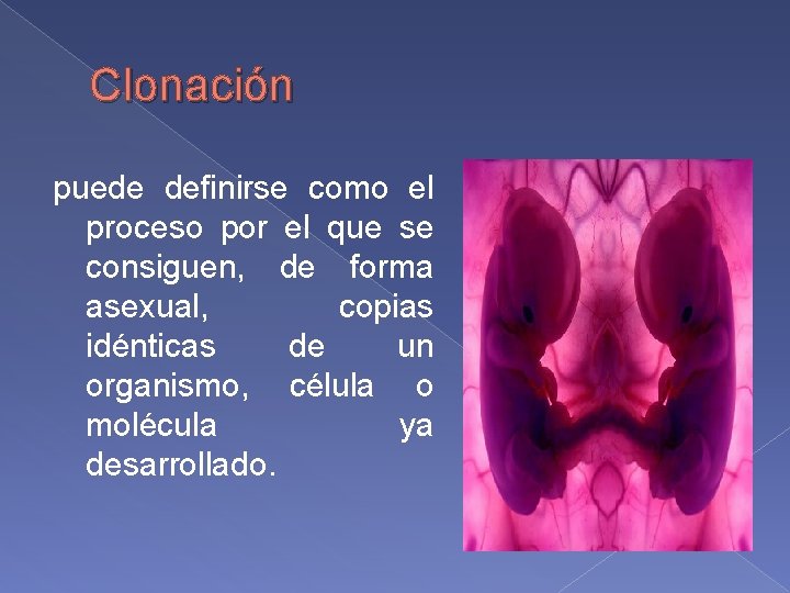 Clonación puede definirse como el proceso por el que se consiguen, de forma asexual,