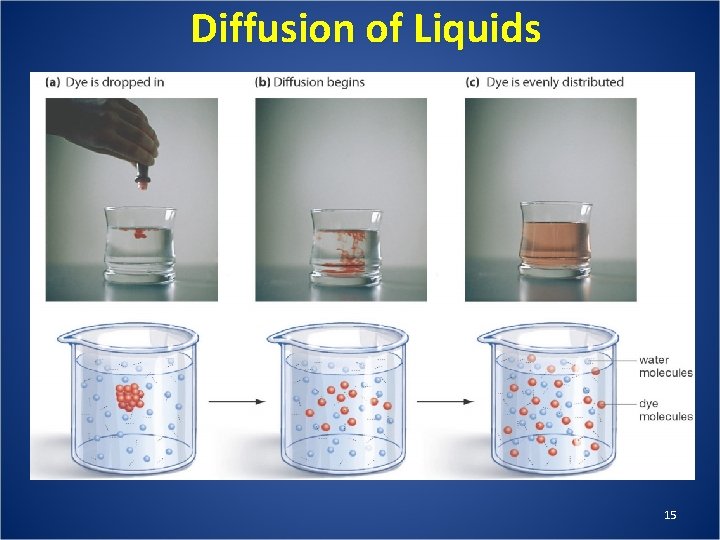 Diffusion of Liquids 15 