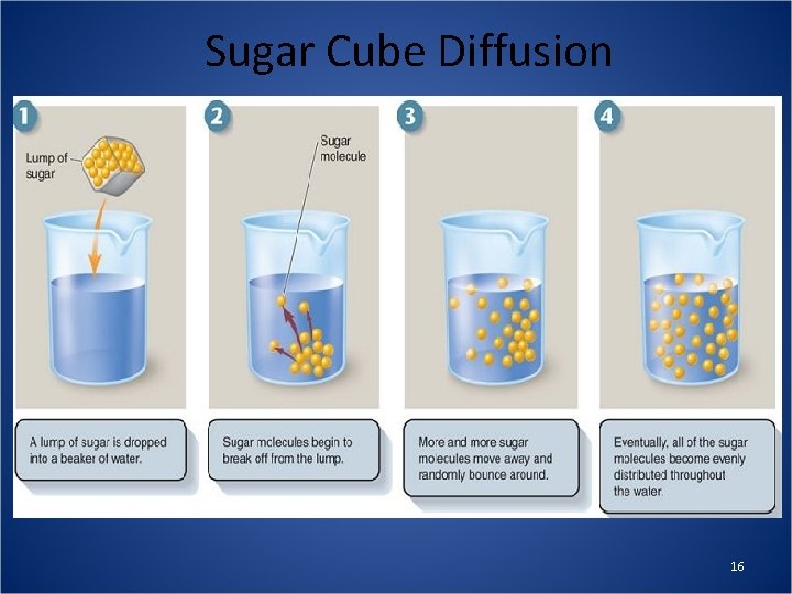 Sugar Cube Diffusion 16 
