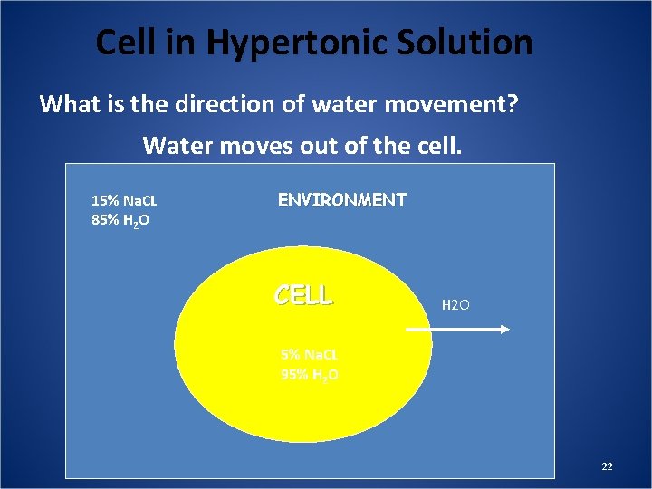 Cell in Hypertonic Solution What is the direction of water movement? Water moves out