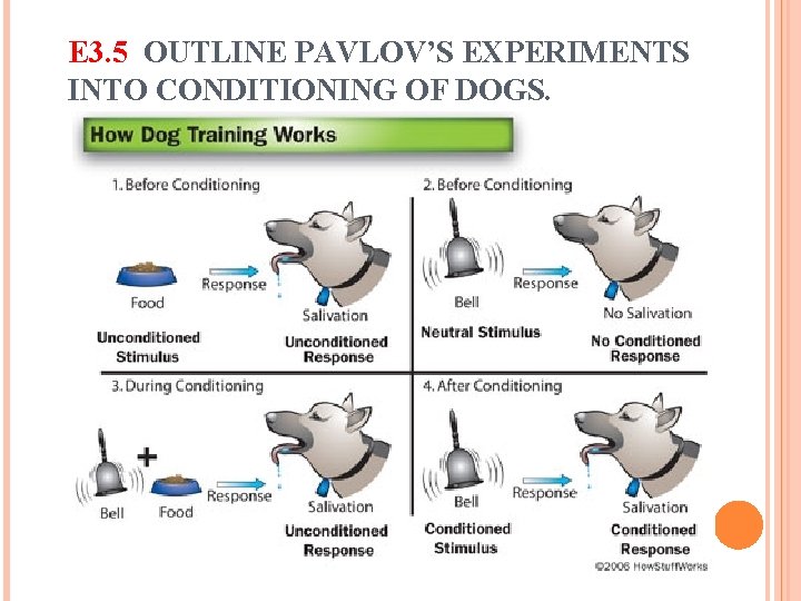 E 3. 5 OUTLINE PAVLOV’S EXPERIMENTS INTO CONDITIONING OF DOGS. E 3. 5 OUTLINE PAVLOV’S EXPERIMENTS INTO CONDITIONING OF DOGS.