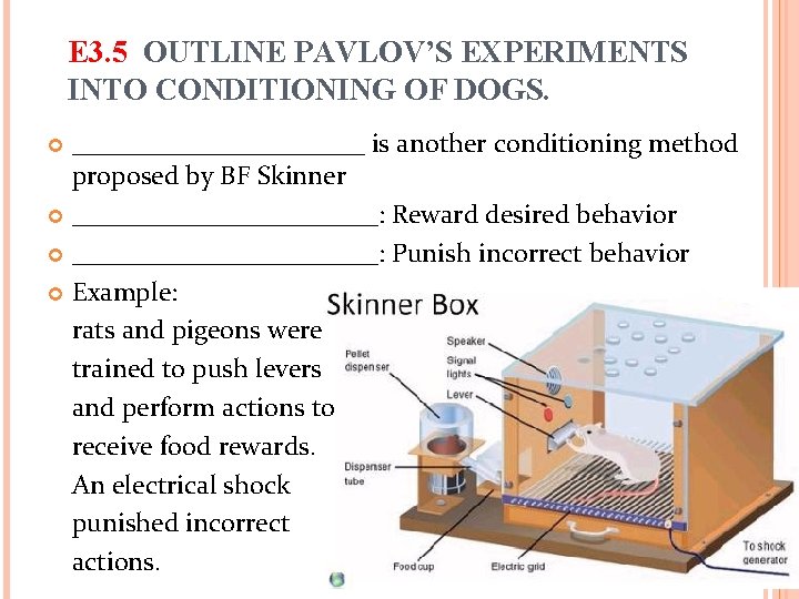 E 3. 5 OUTLINE PAVLOV’S EXPERIMENTS INTO CONDITIONING OF DOGS. ___________ is another conditioning