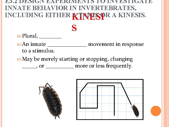 E 3. 2 DESIGN EXPERIMENTS TO INVESTIGATE INNATE BEHAVIOR IN INVERTEBRATES, INCLUDING EITHER KINESI