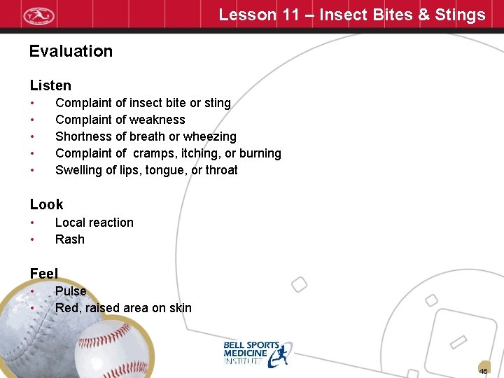 Lesson 11 – Insect Bites & Stings Evaluation Listen • • • Complaint of