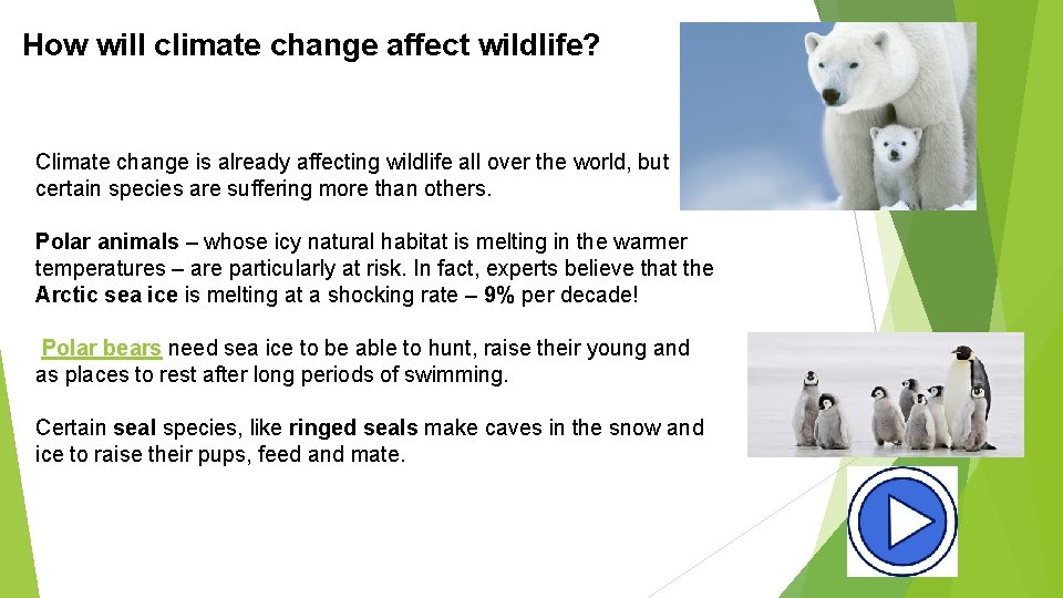How will climate change affect wildlife? Climate change is already affecting wildlife all over