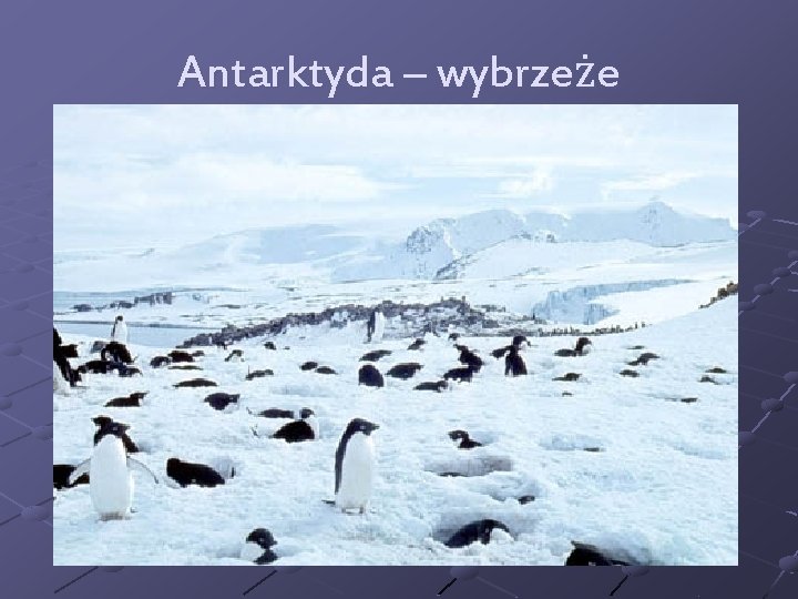 Antarktyda – wybrzeże 