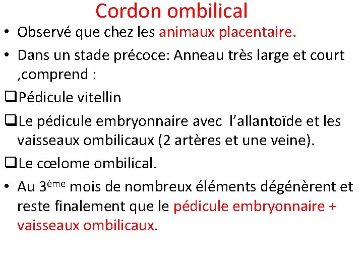 Cordon ombilical • Observé que chez les animaux placentaire. • Dans un stade précoce: