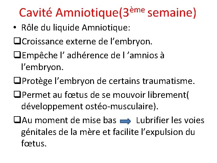 Cavité Amniotique(3ème semaine) • Rôle du liquide Amniotique: q. Croissance externe de l’embryon. q.