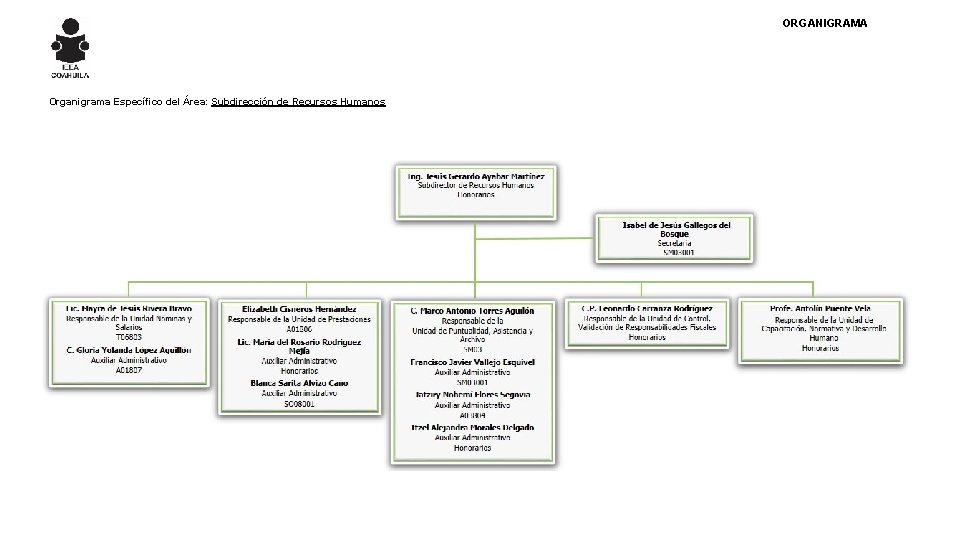 ORGANIGRAMA Organigrama Específico del Área: Subdirección de Recursos Humanos 