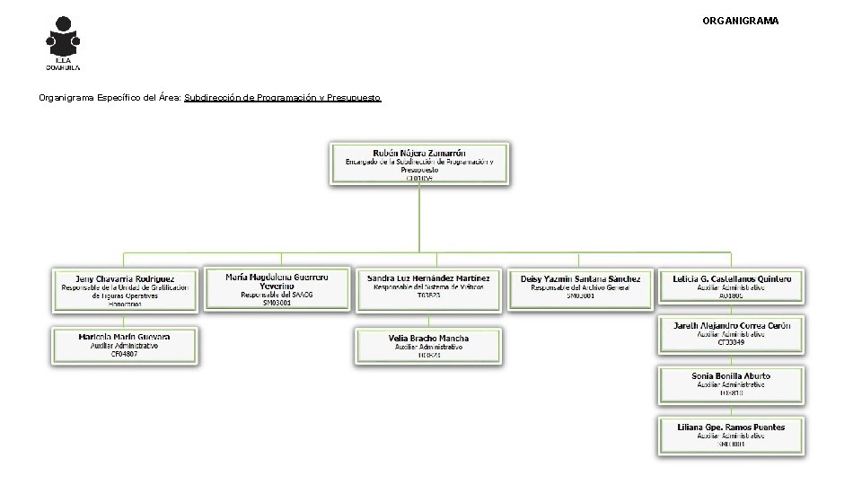 ORGANIGRAMA Organigrama Específico del Área: Subdirección de Programación y Presupuesto 