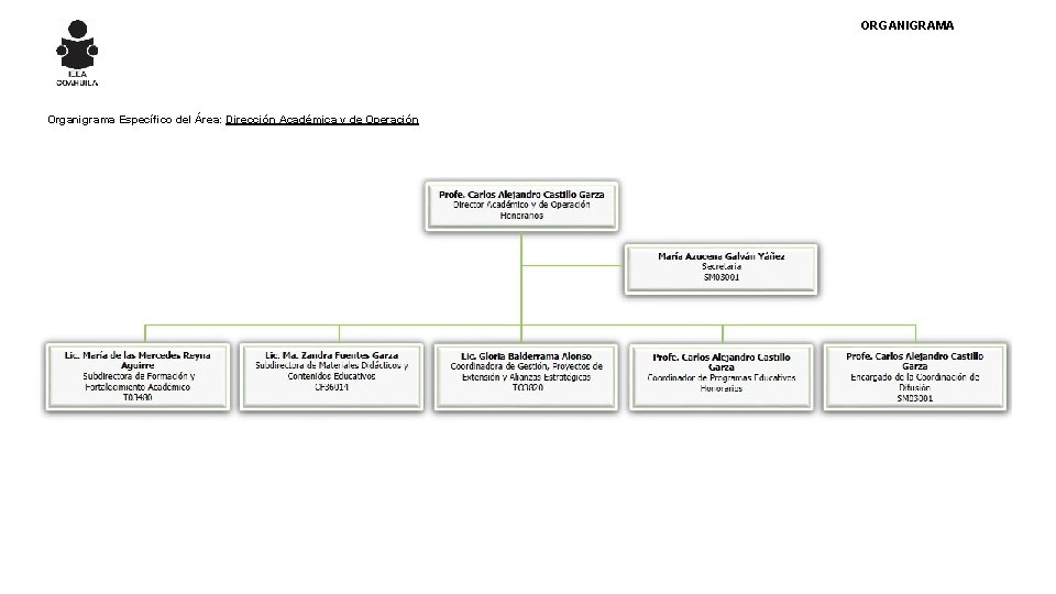 ORGANIGRAMA Organigrama Específico del Área: Dirección Académica y de Operación 