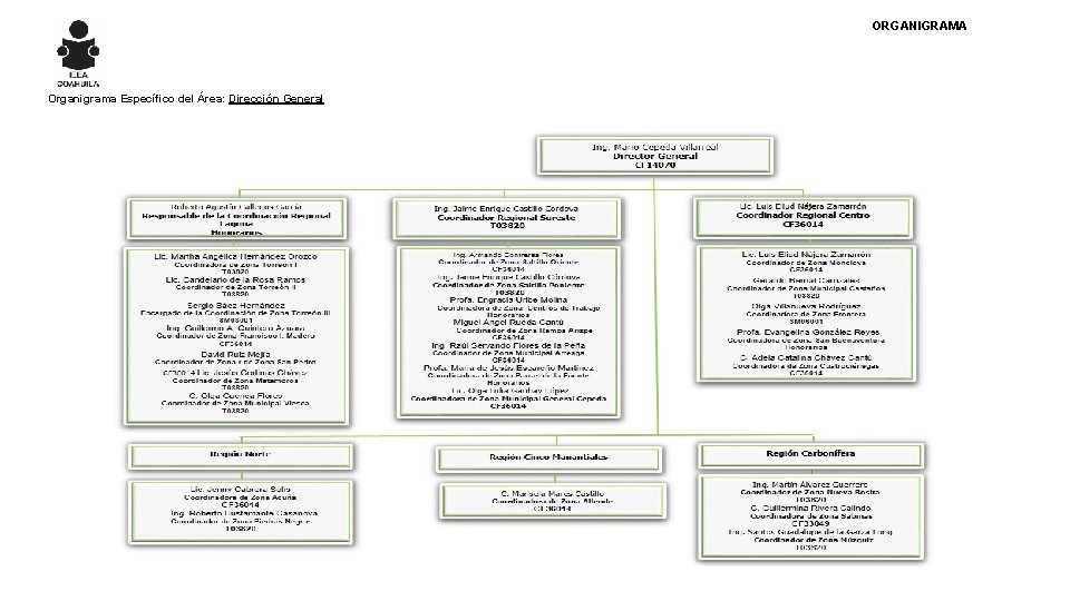 ORGANIGRAMA Organigrama Específico del Área: Dirección General 