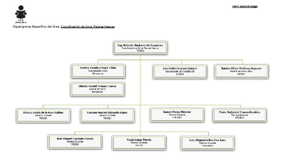 ORGANIGRAMA Organigrama Específico del Área: Coordinación de Zona Piedras Negras 