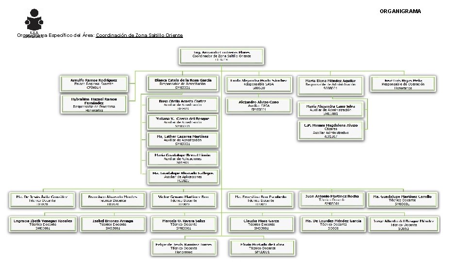 ORGANIGRAMA Organigrama Específico del Área: Coordinación de Zona Saltillo Oriente 