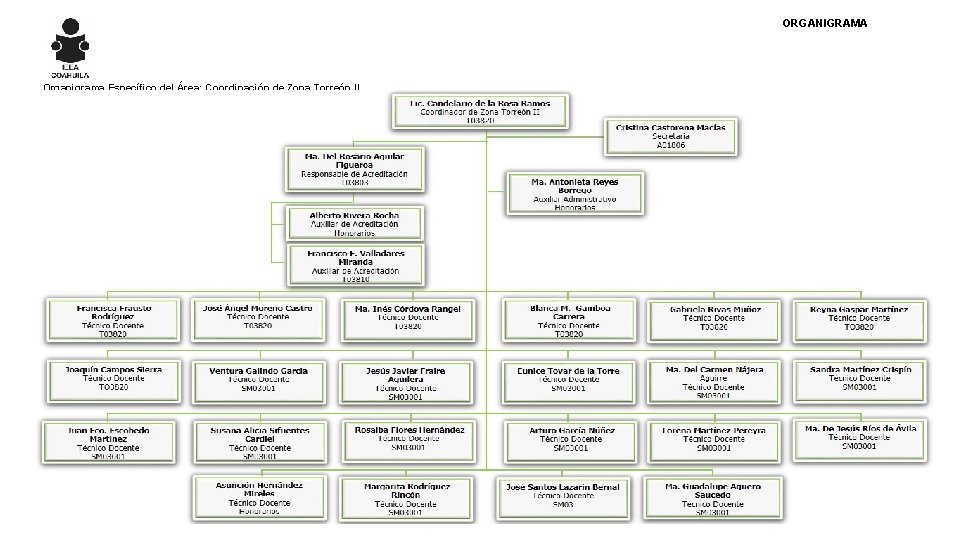 ORGANIGRAMA Organigrama Específico del Área: Coordinación de Zona Torreón II 